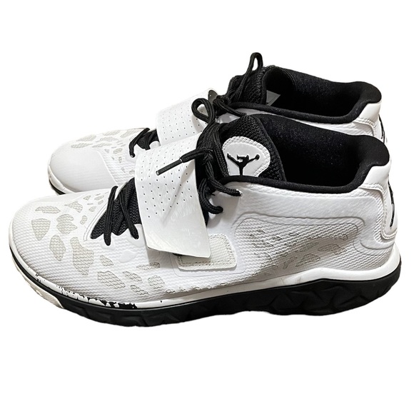 Jordan Men Flight Flex Trainer 2, SZ 10, color White - Picture 4 of 11